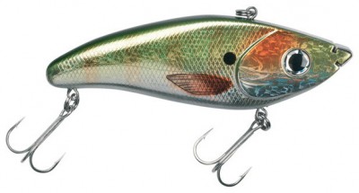 Screamin`Devil color Perch